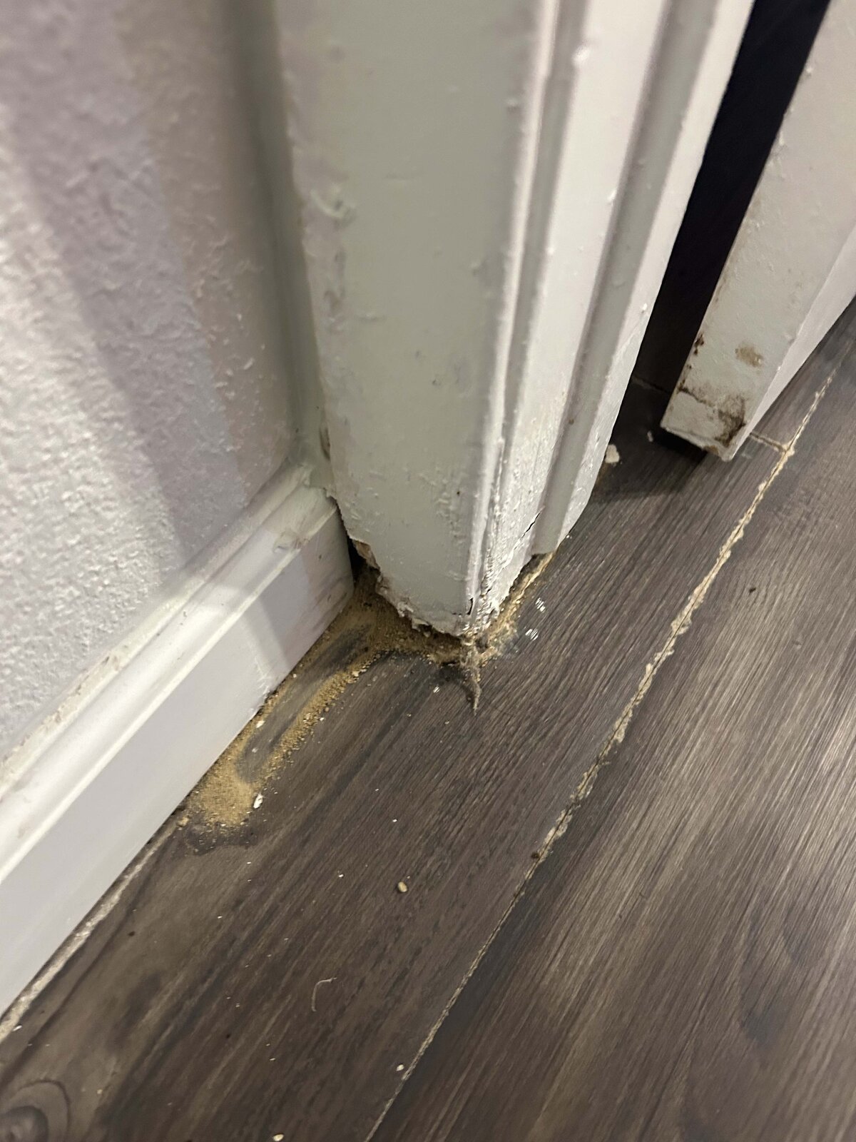 Carpenter Ant Frass at Door Frame