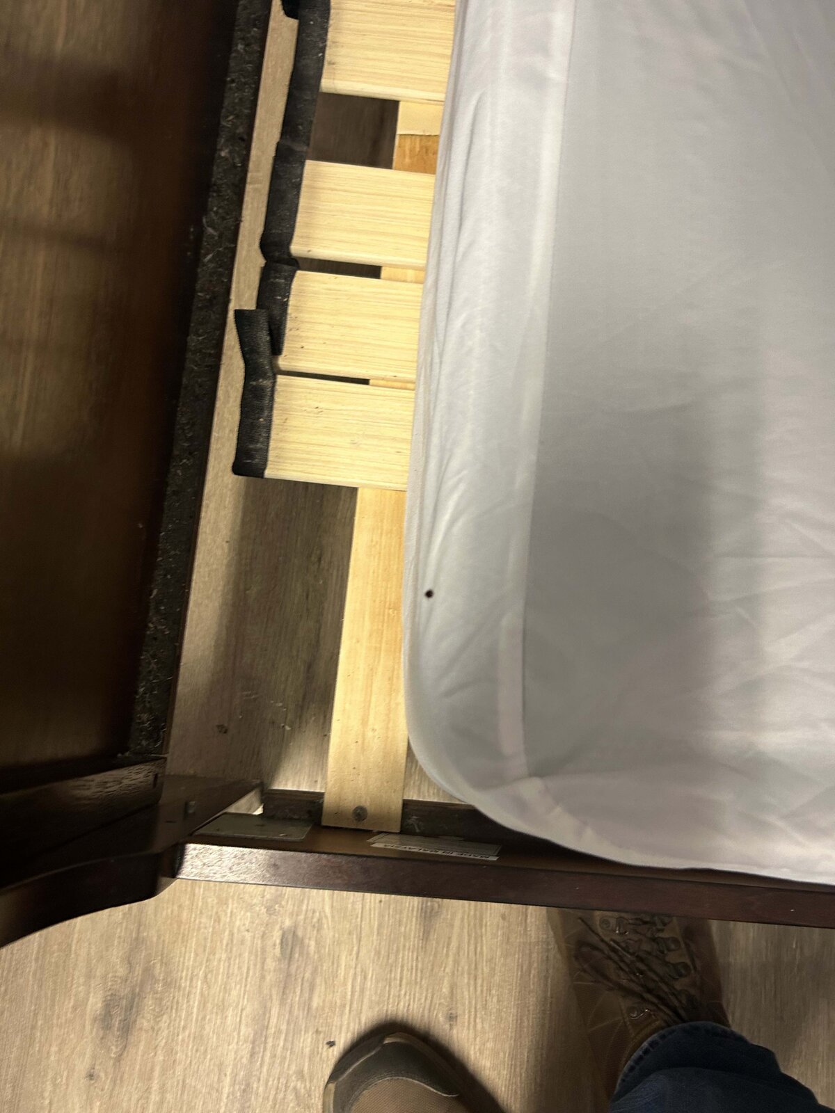 Bed Bug Fecal Marks — Bed Frame