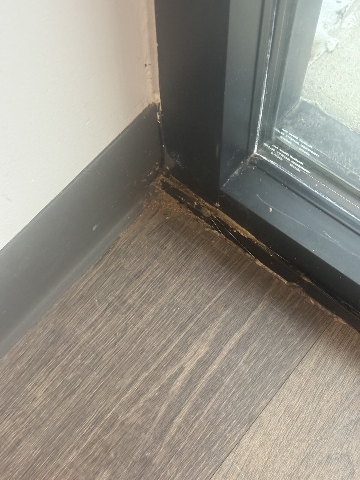 Baseboard Damage