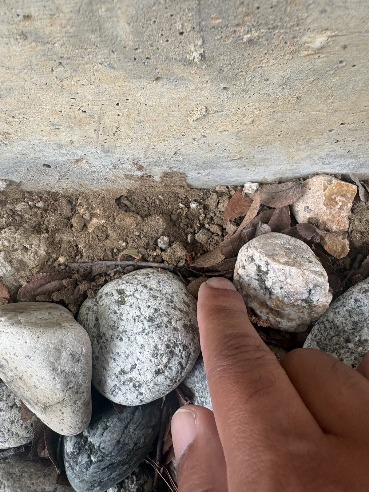 Mud Tube in Landscaping Rock