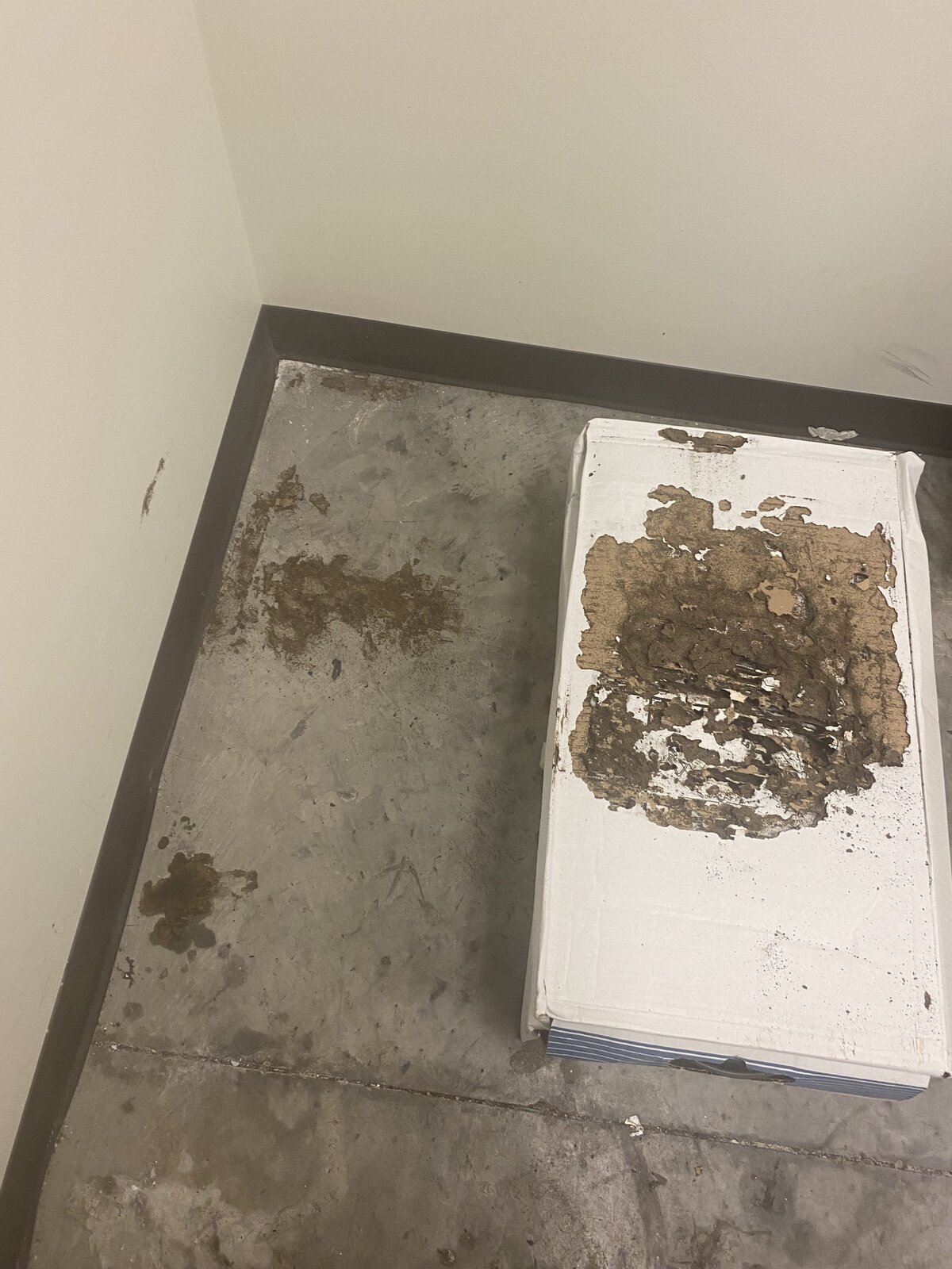 Baseboard Damage — Room Corner