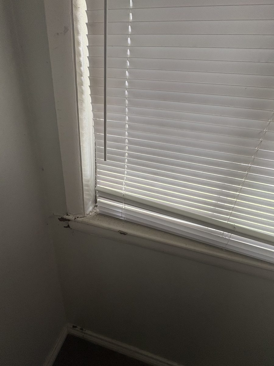 Termite Damage