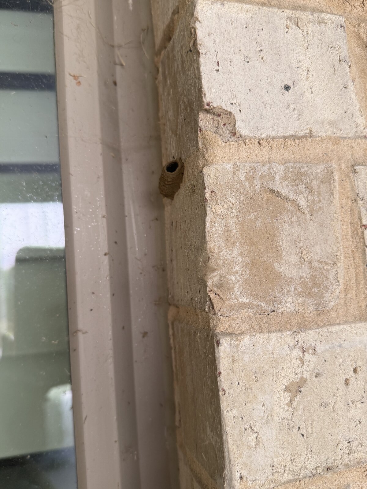 Wasp Nest Holes in Brick