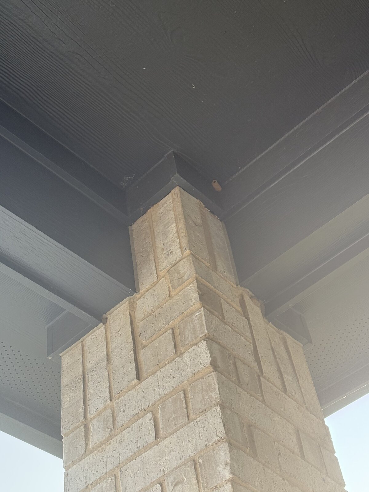Wasp Nest Damage — Column