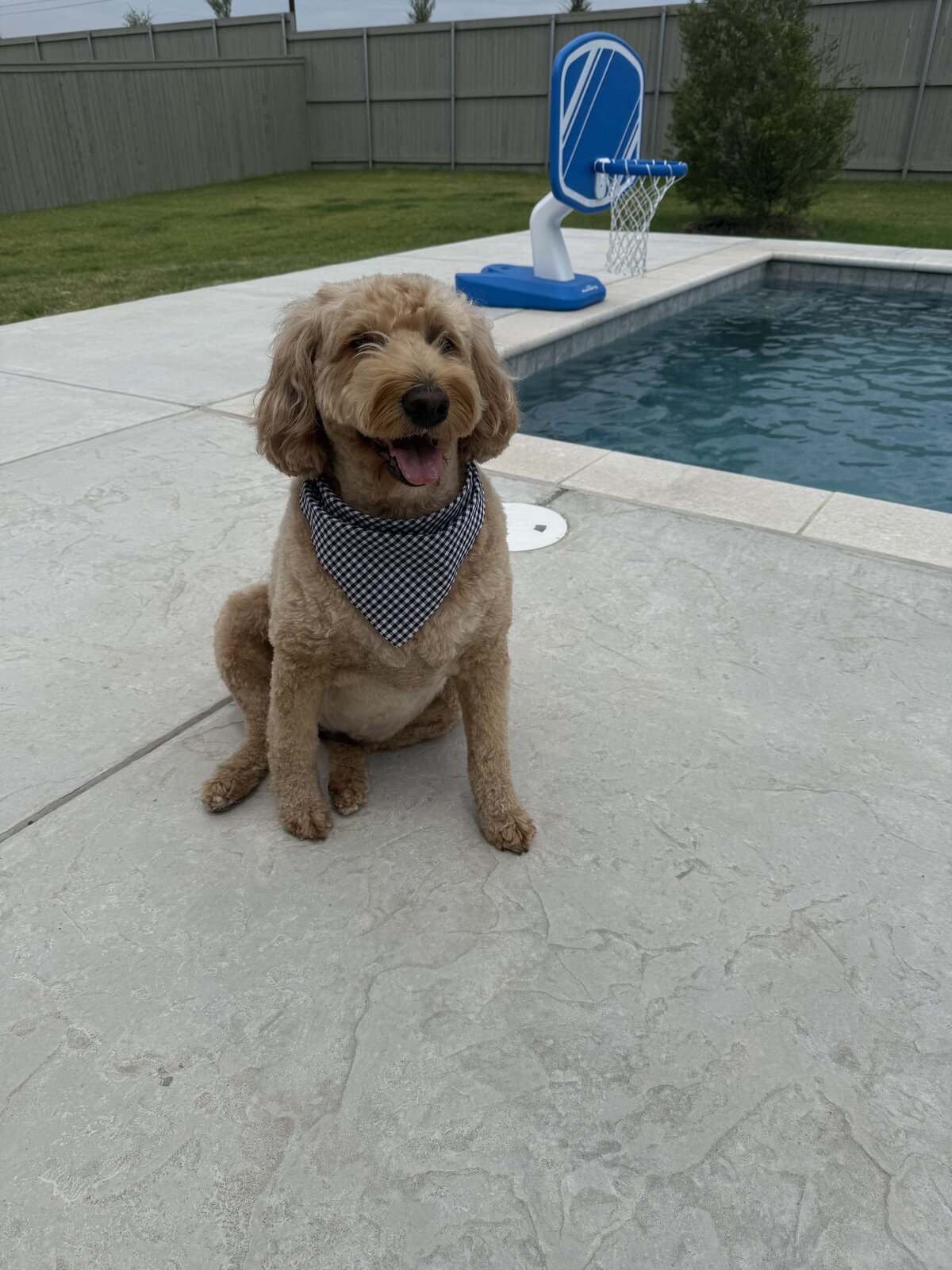 Unique Pest Control team member